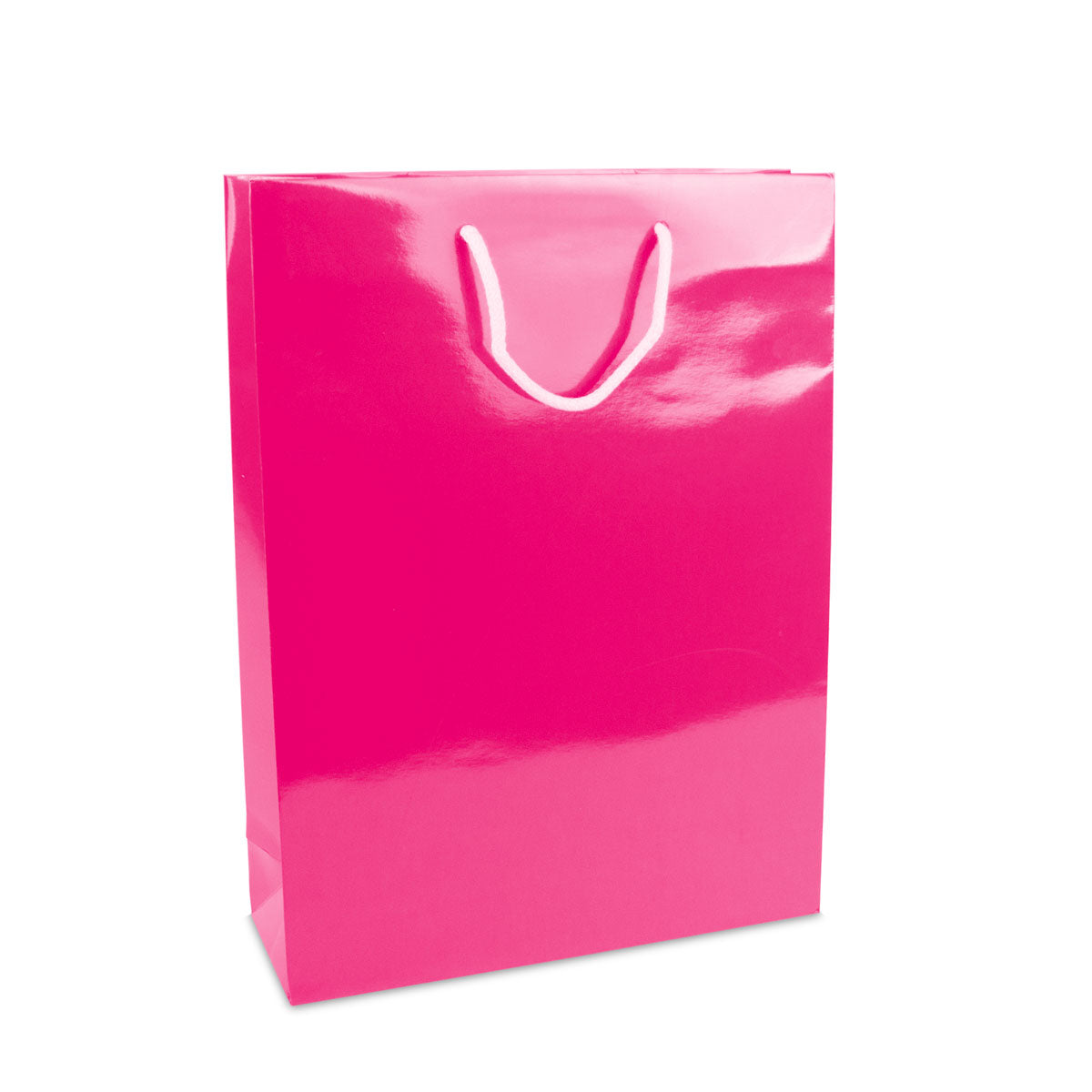 Luxe papieren tassen - Glanzend effe kleuren